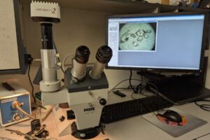 Zeiss Stereomicroscopes