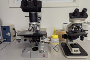 Compound Optical Microscopes