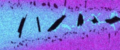 Identification of Microstructure of Thin-Gauge Austenitic and Ferritic Stainless Steel Braze Joints